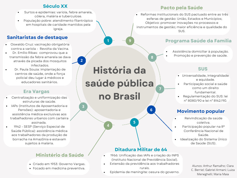 História da Saúde Pública no Brasil | PDF | Saúde pública | Esfera pública
