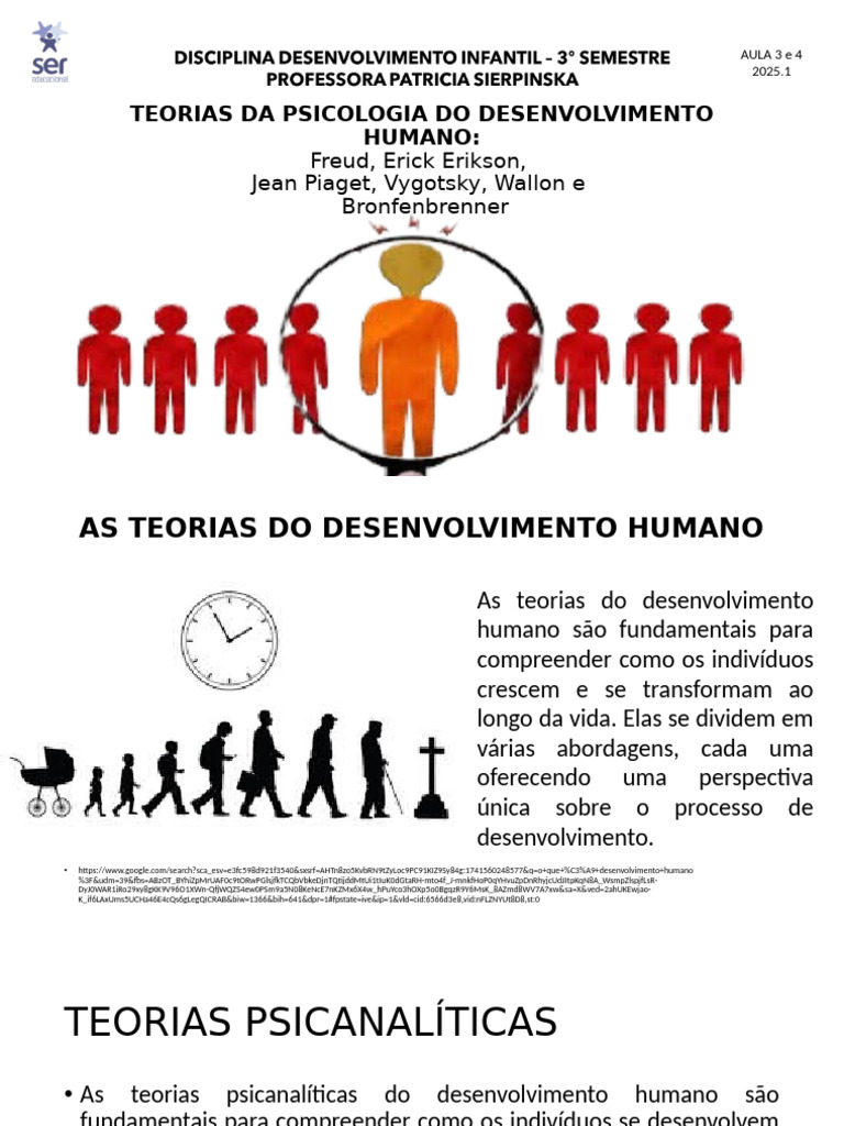 Teorias do Desenvolvimento Humano | PDF | Aprendizado | Sociologia