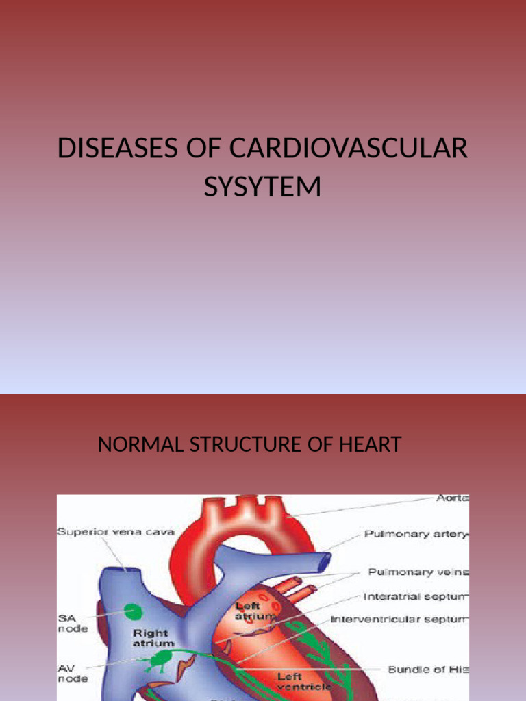 Cardiovascular Diseases Overview | PDF | Heart | Myocardial Infarction