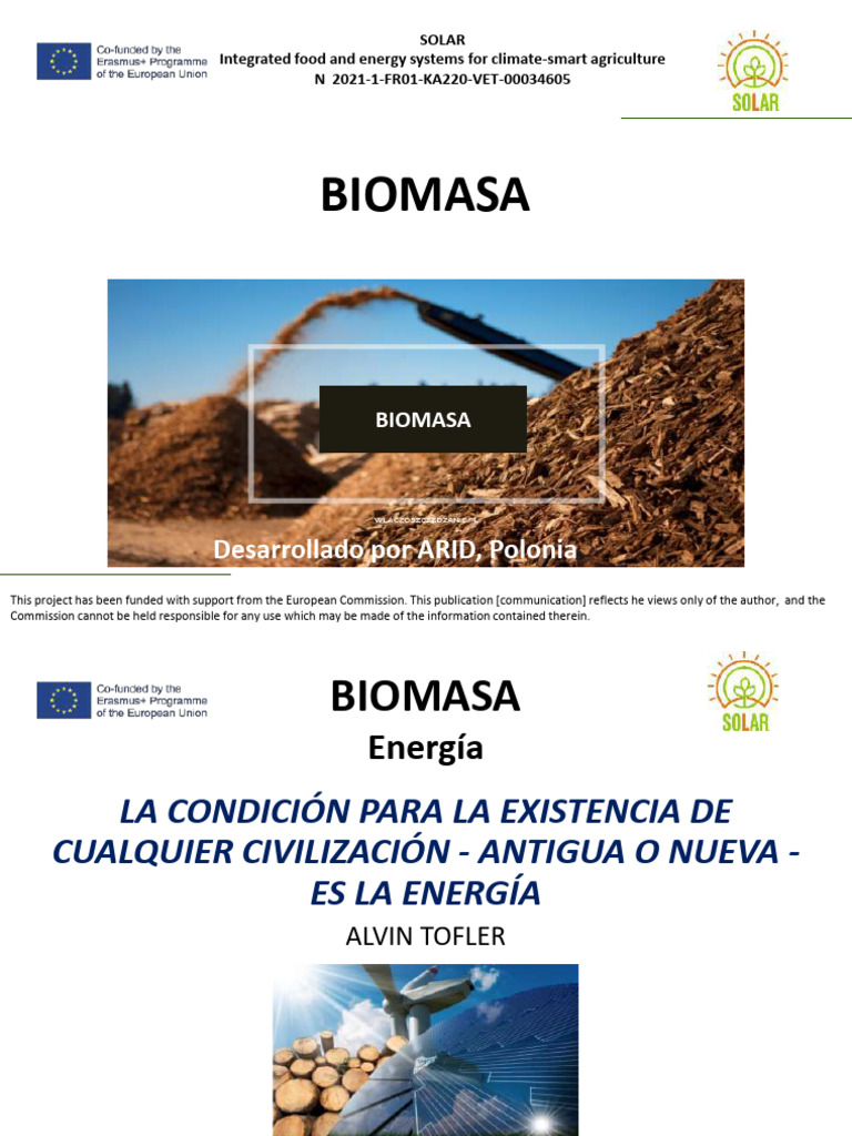 Biomasa: Energía Renovable Sostenible | PDF | Biomasa | Bioenergía
