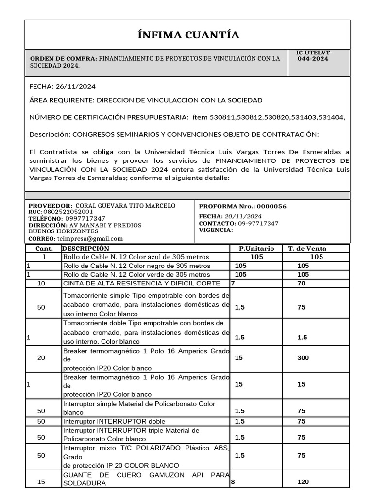 Orden de Compra Proyectos 2024 | PDF | Presupuesto | Multa (pena)