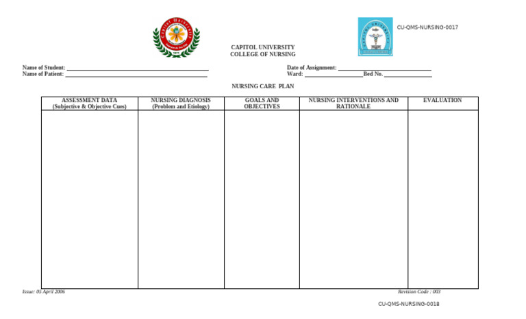Nursing Care Plan Template | PDF