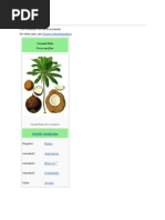 Download Coconut by Rhyniel Tan SN84643656 doc pdf