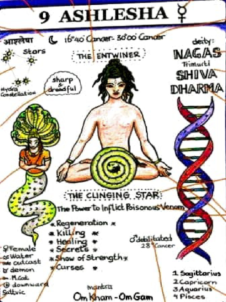 Hindu Gods and Goddesses Overview | PDF | Hindu Tantra | Indian Religions