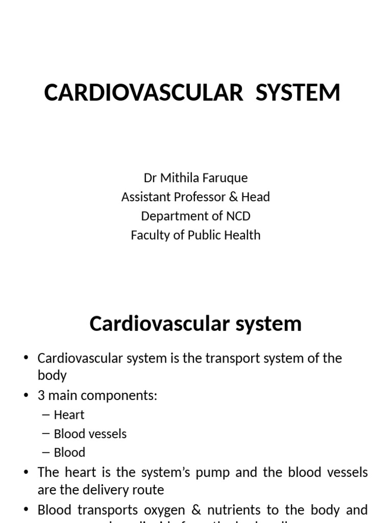 Overview of the Cardiovascular System | PDF | Heart Valve | Heart