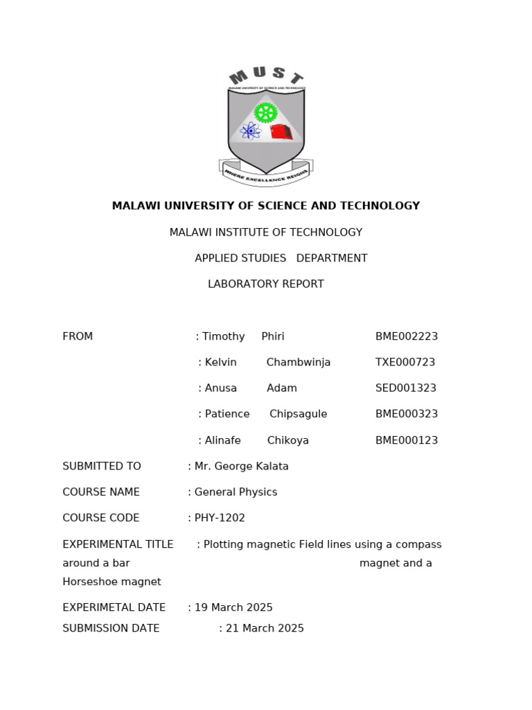 Magnetic Field Lines Lab Report | PDF