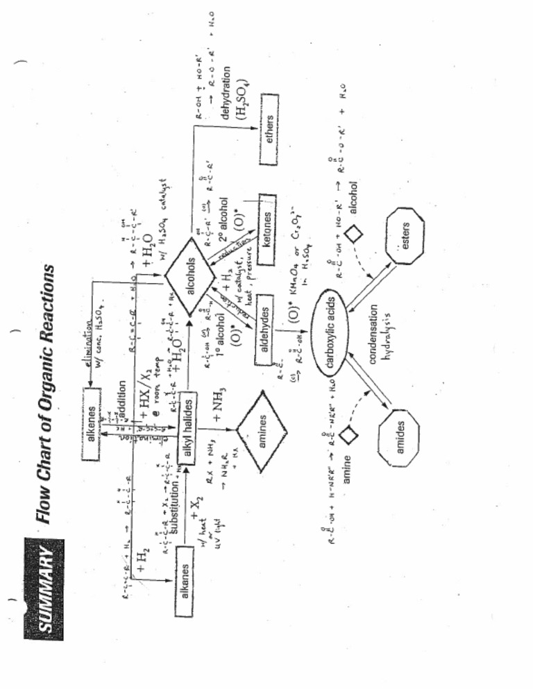 Flow Chart Orgo Rxns | PDF