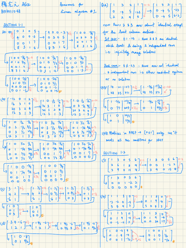 Linear Algebra Homework Solutions | PDF | Algebra | Applied Mathematics