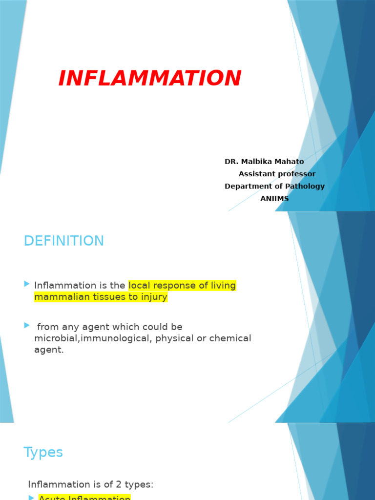 Understanding Inflammation Types and Processes | PDF | Inflammation ...
