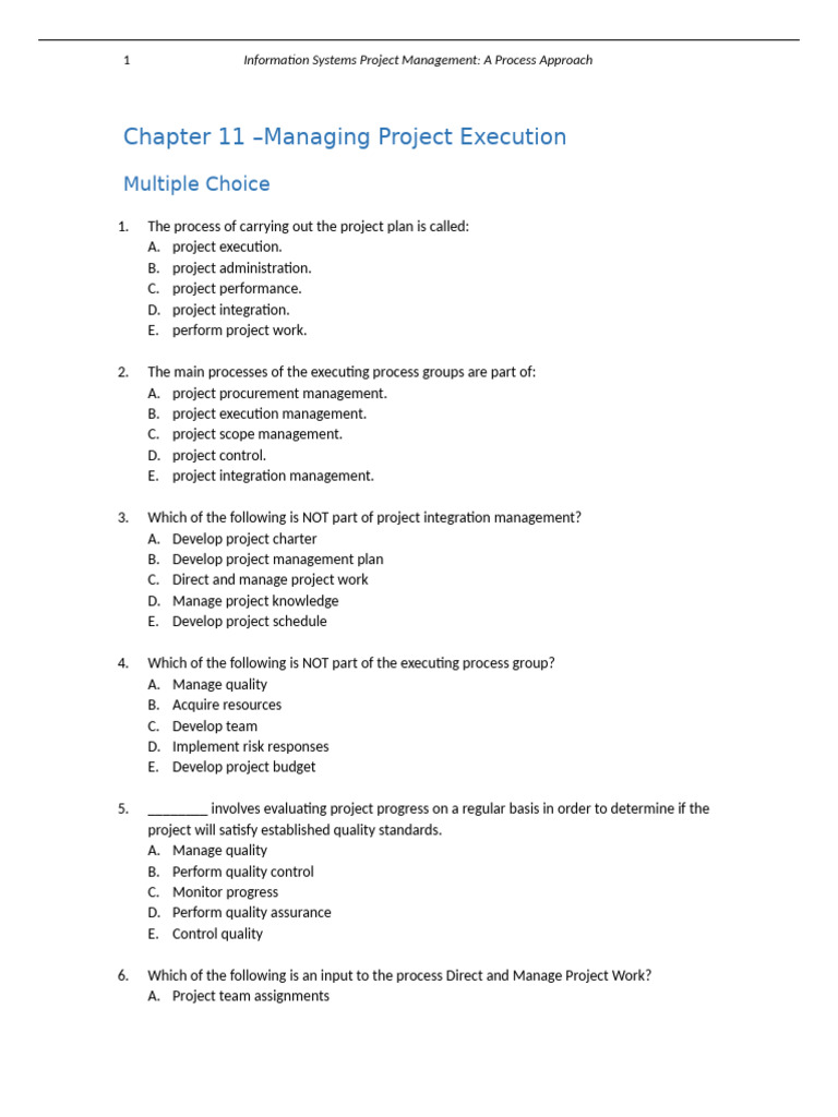 Managing Project Execution Insights | PDF | Project Management | Business