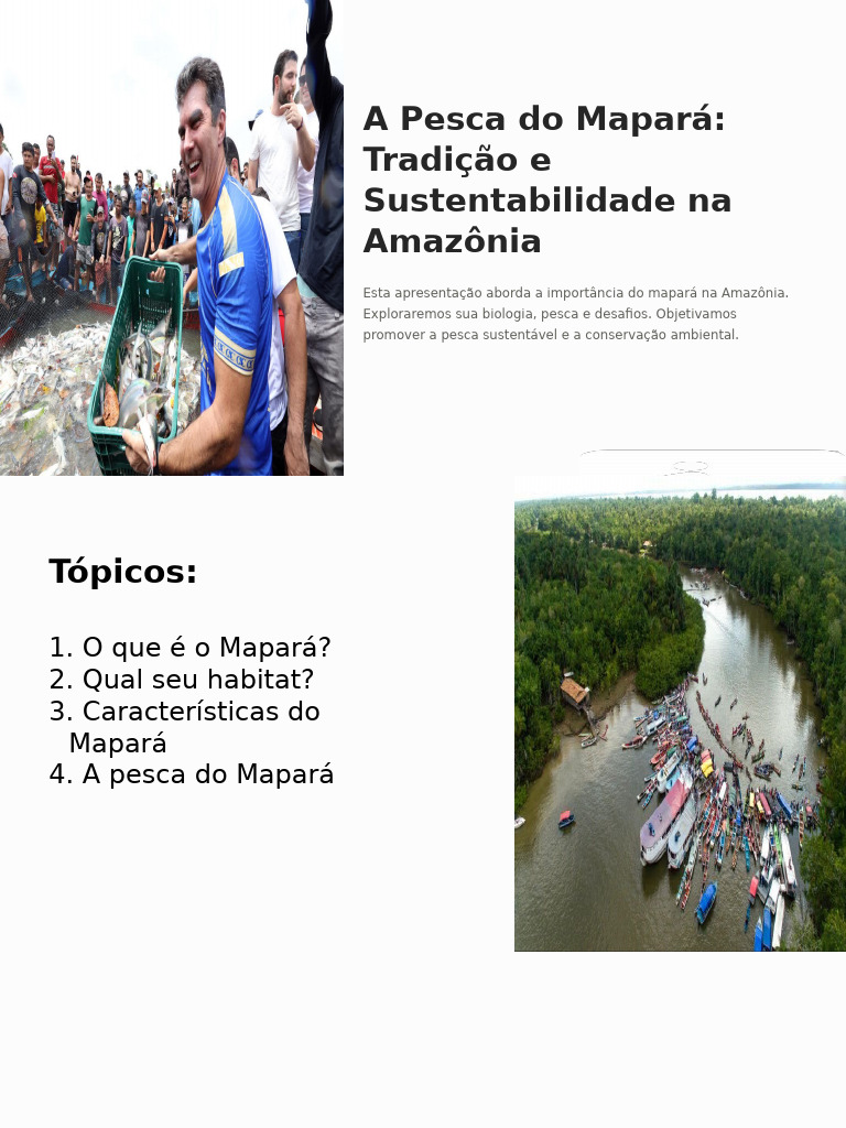 Pesca Sustentável do Mapará na Amazônia | PDF | Sustentabilidade ...