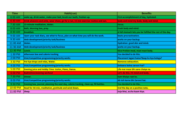 Daily Routine for Productivity and Wellness | PDF