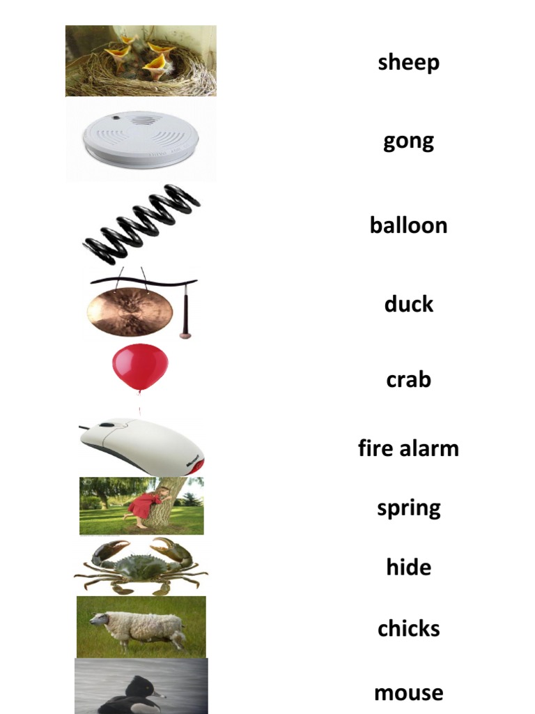 Onomatopoeia Worksheets