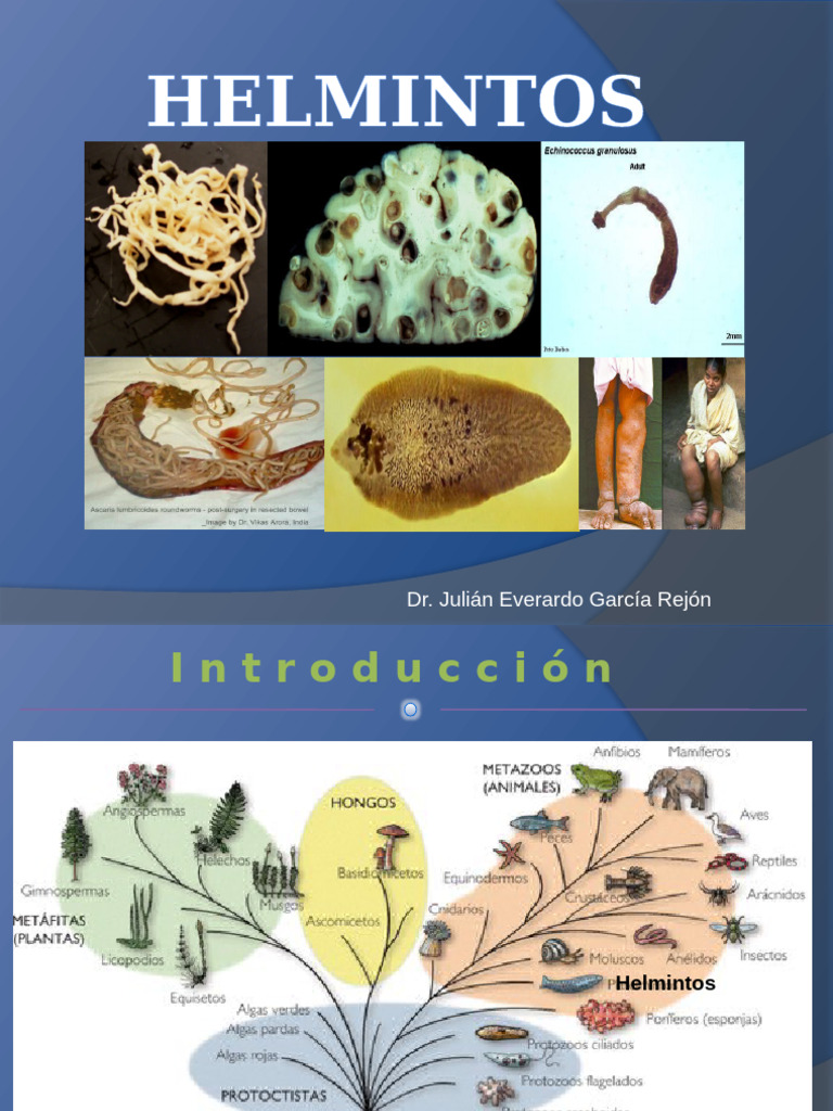 5 Parasitos (Helmintos y Artrpodos) (1) | PDF | Parasitología ...