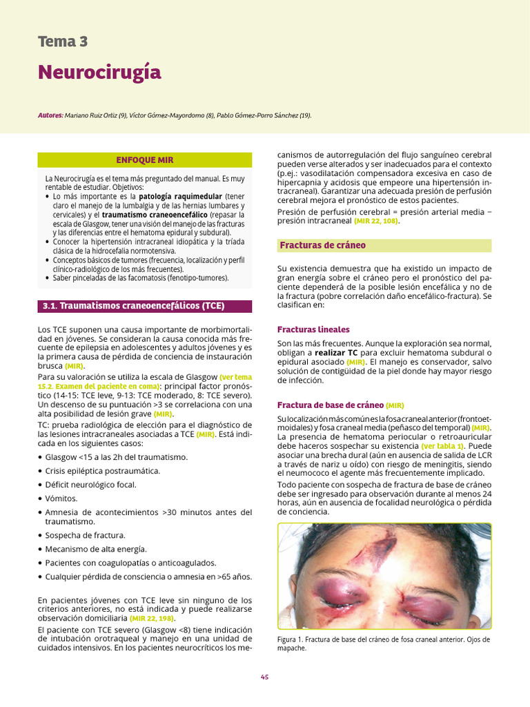TEC | PDF | Lesión cerebral traumática | Medicina CLINICA