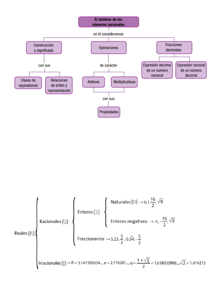 Mapa Conceptual Numeros Racionales | PDF