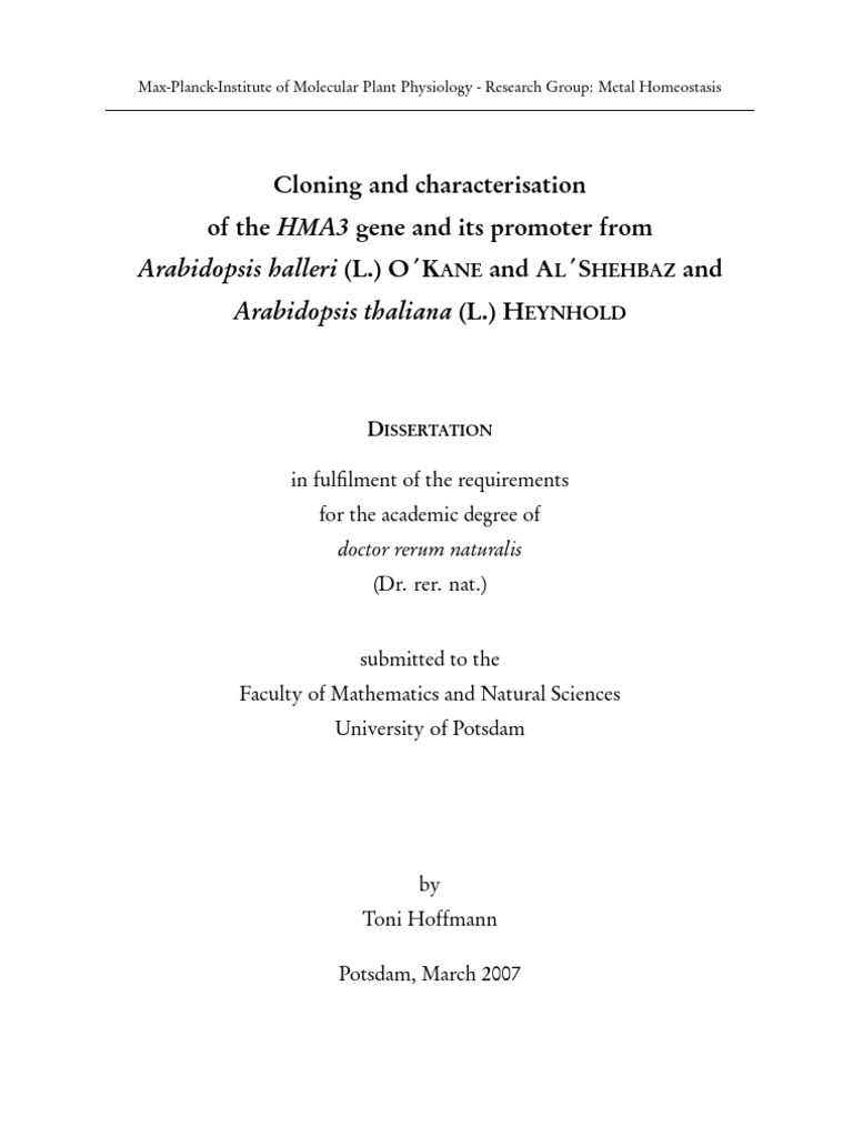 HMA3 Gene and Its Promoter | PDF