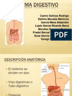 APARATO DIGESTIVO SEGUNDO FORMATO (café)