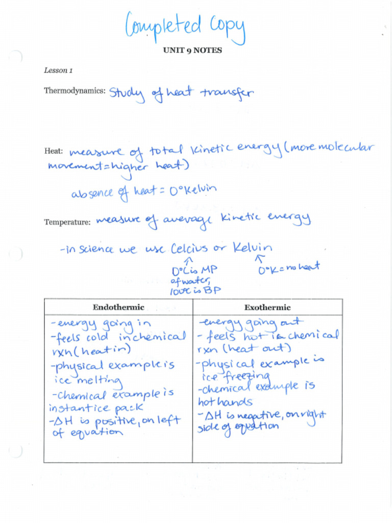 Completed Unit 9 Notes | PDF