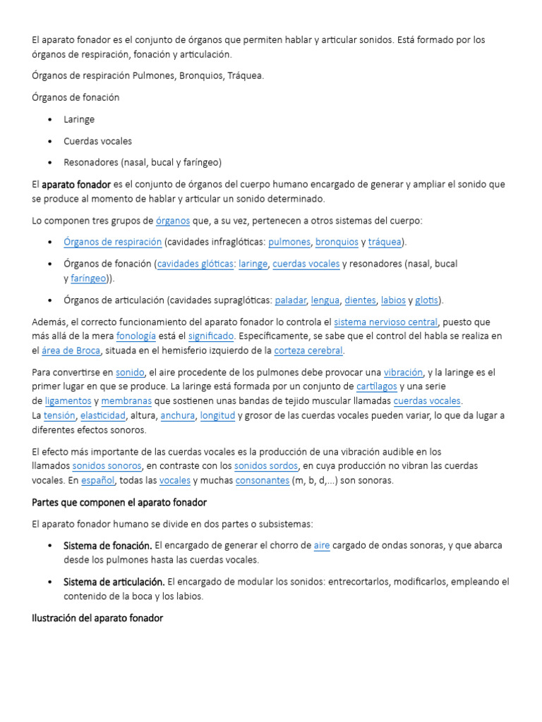 Tarea de Fonador y Voz | PDF | Voz humana | Fonética