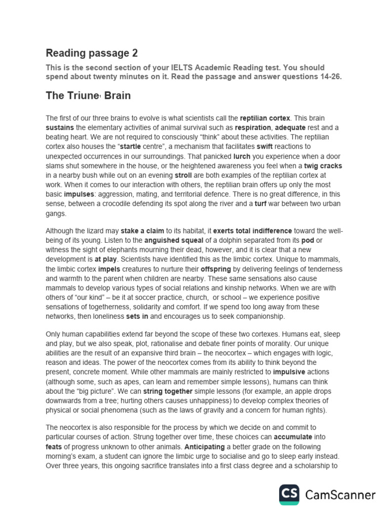 Understanding the Triune Brain System | PDF | Brain | Limbic System