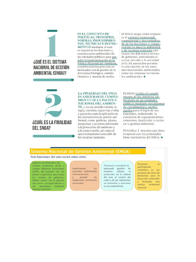 Resumen Snga | PDF