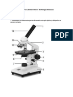 Guía Nº1 Laboratorio de Histología Humana