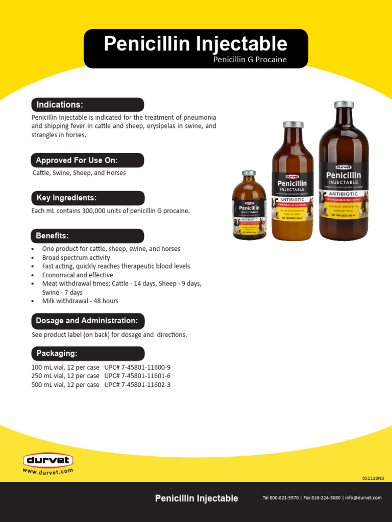 Penicillin-Injectable NORB 100mL 250mL 500mL-1 | PDF | Injection ...