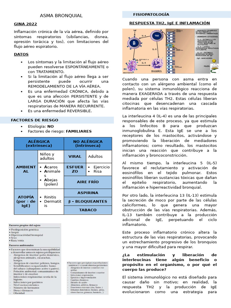 Asma Bronquial | PDF | Asma | Alergia