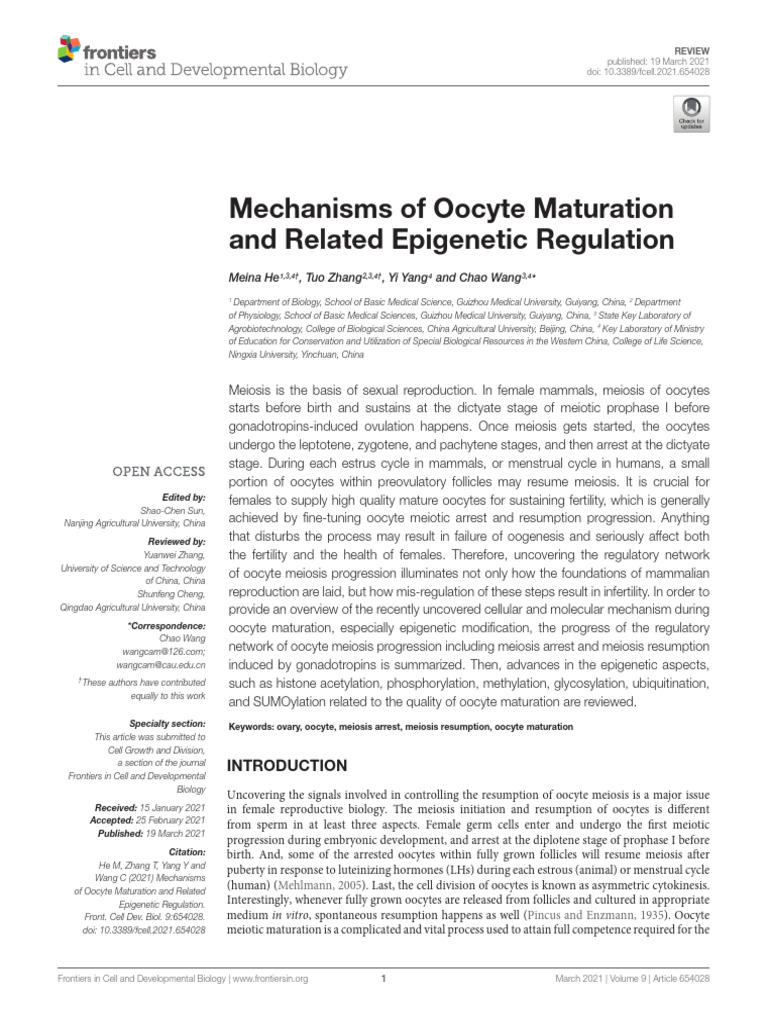 Mechanisms of Oocyte Maturation and Related Epigenetic Regulation | PDF ...