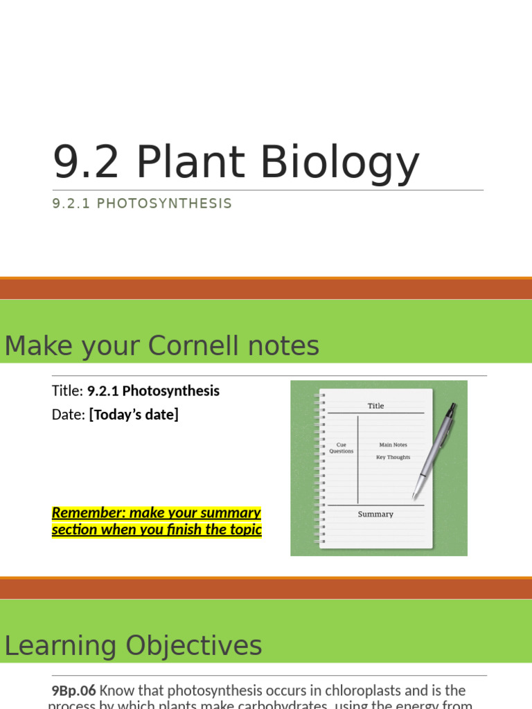 Understanding Photosynthesis in Plants | PDF | Photosynthesis | Leaf