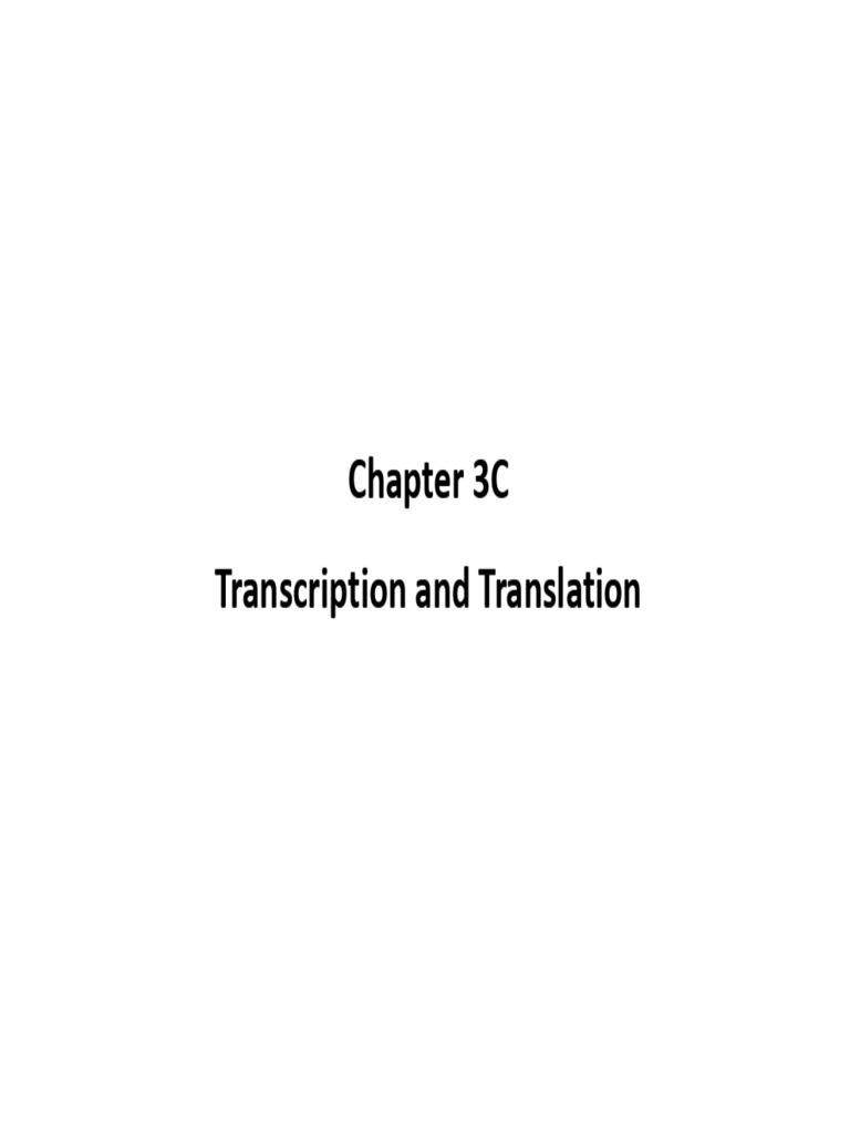 Chapter 3C (Transcription and Translation) 12Ls Biology | PDF ...