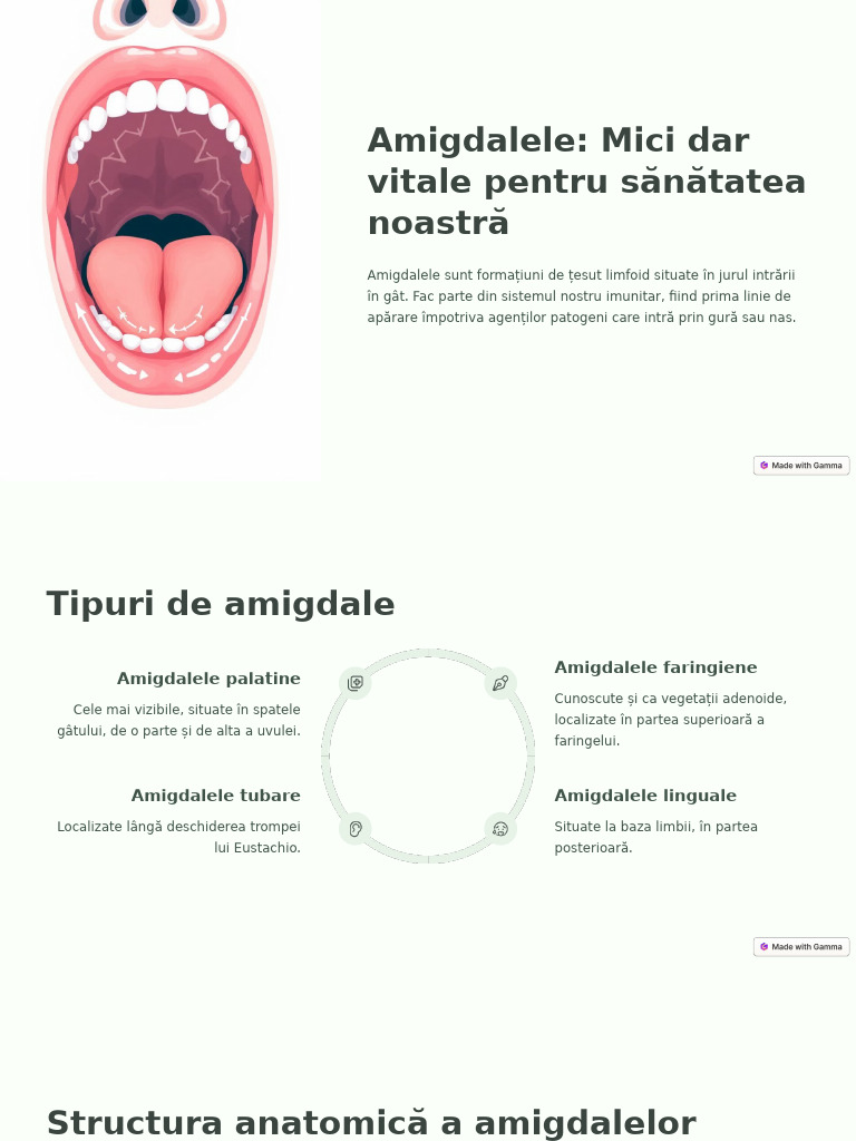 Amigdalele Mici Dar Vitale Pentru Sanatatea Noastra | PDF