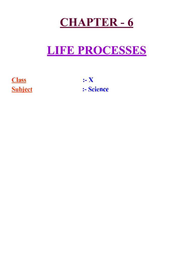 Life Processes 2 | PDF