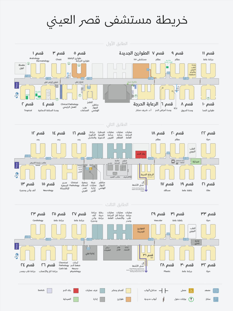 Kasr Al Ainy Map | PDF