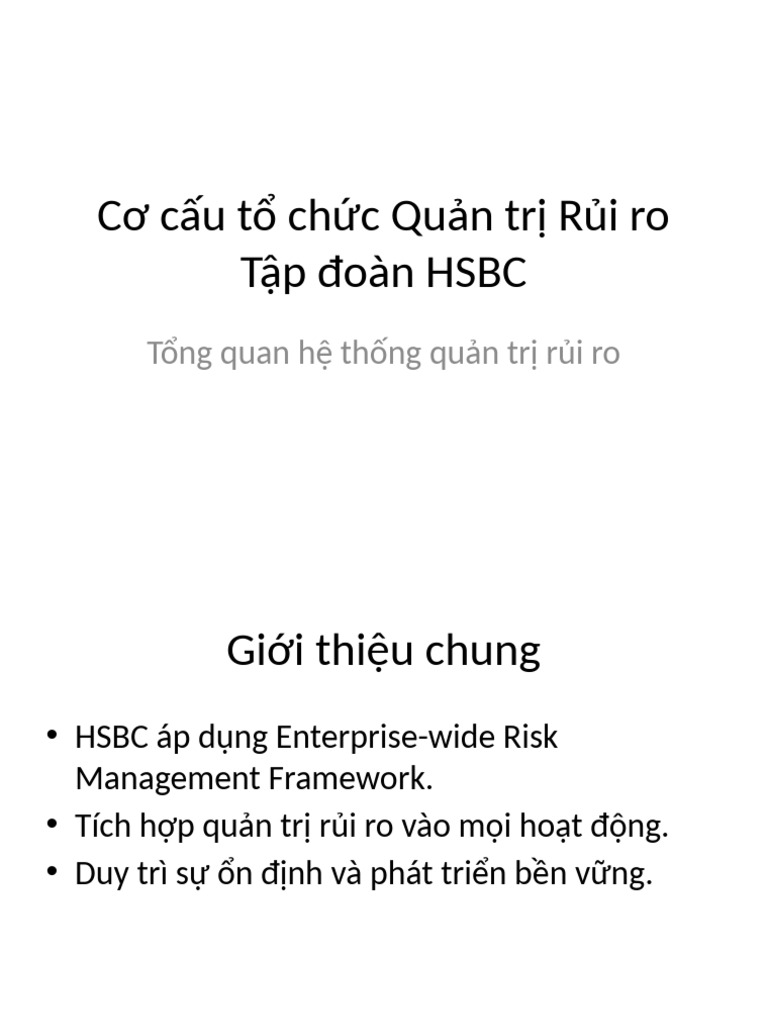 Hsbc Risk Structure Full | PDF