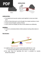 Biomechanics - Lever Systems of The Human Body PDF | PDF | Lever | Torque