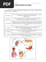 Constituição do Corpo