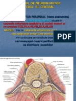 Sindromul de Neuron Motor