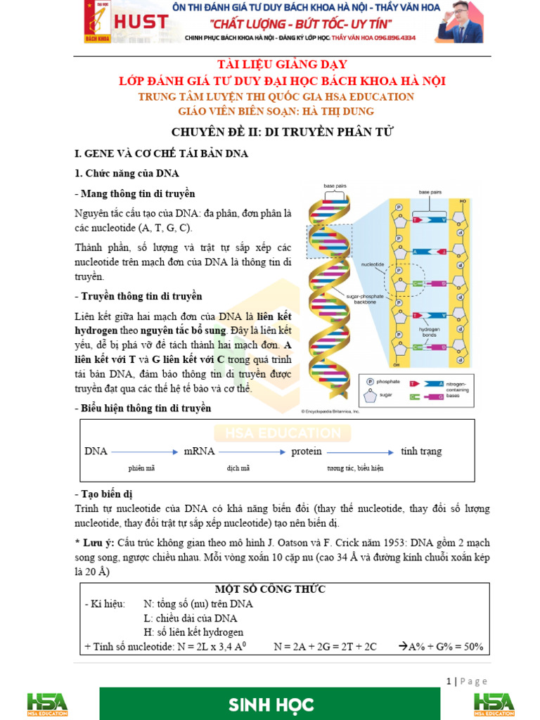 LT PHN II Di Truyn PHN T GTD | PDF