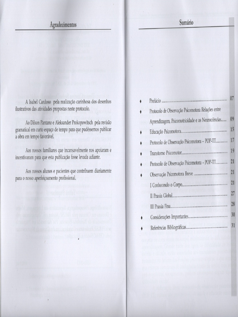 POP-TT - Protocolo de Observação Psicomotora | PDF