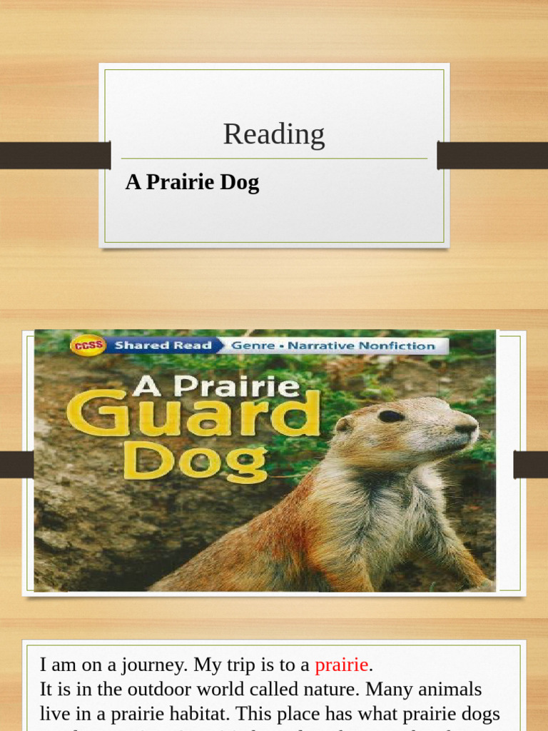 Prairie Dog Pete: A Guard's Tale | PDF