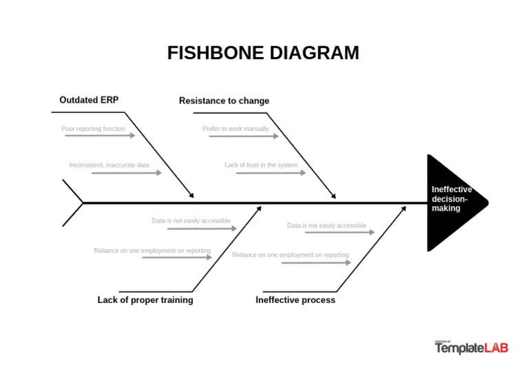 Fishbone Diagram for Decision-Making Issues | PDF