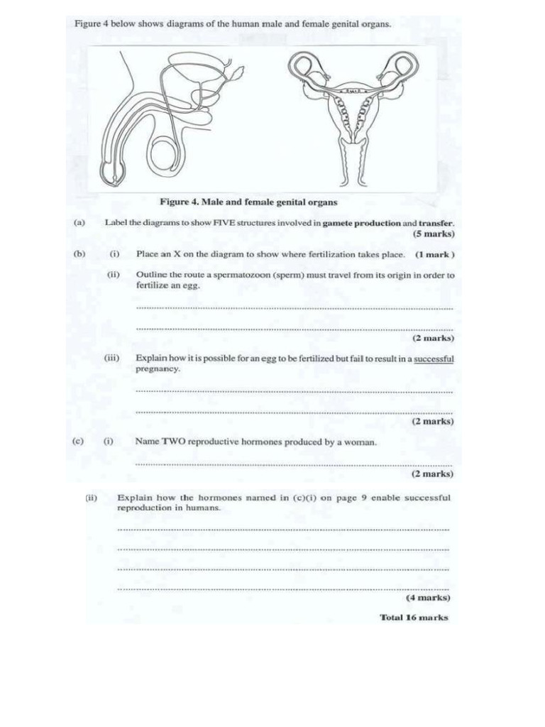 Reproduction Past Papers | PDF