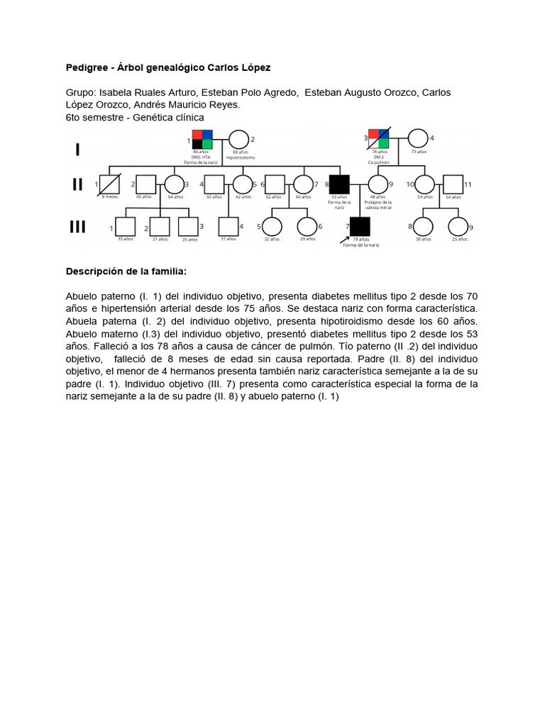 Arbol Genealógico Genética | PDF