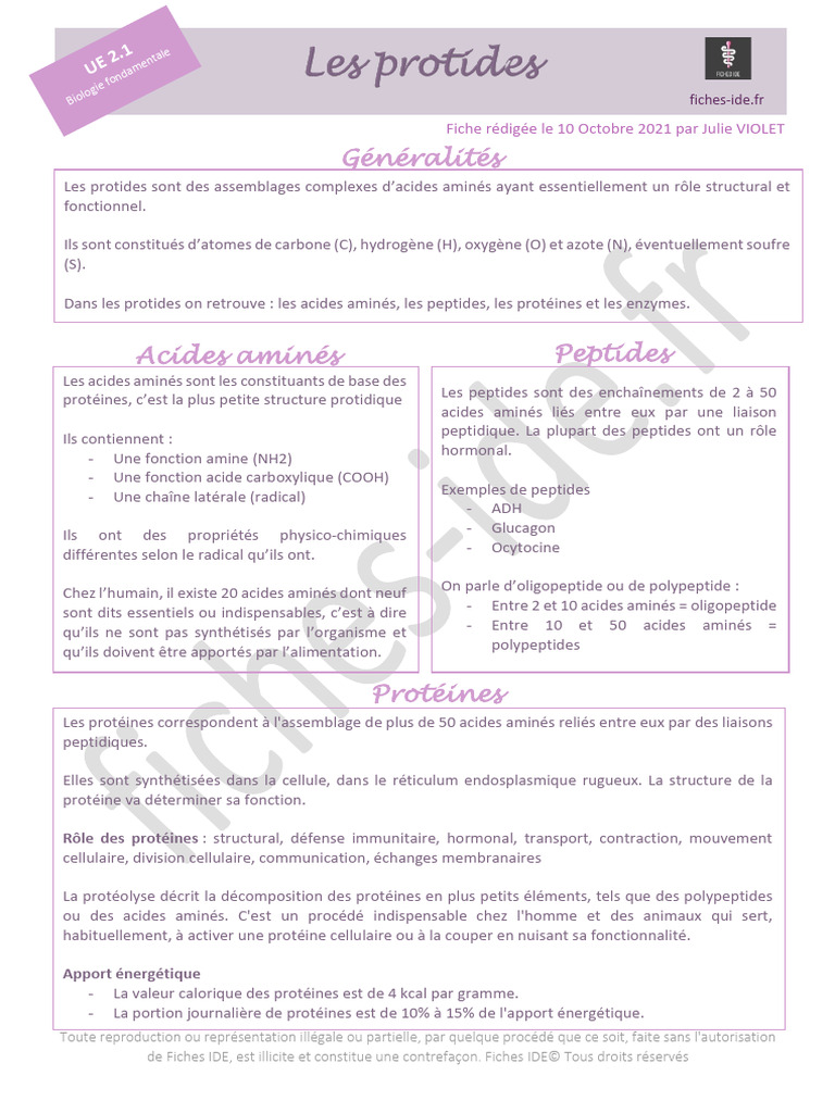 Les protides : structure et fonctions | PDF | Protéines | Peptide