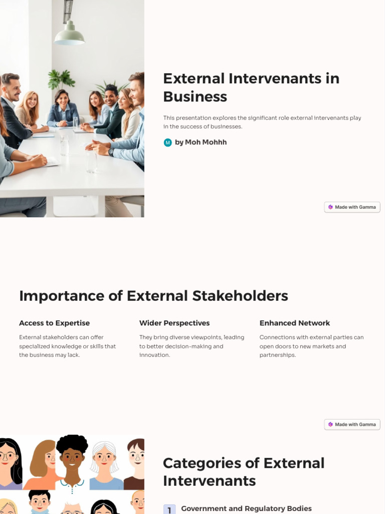 Role of External Intervenants in Business | PDF | Collaboration ...