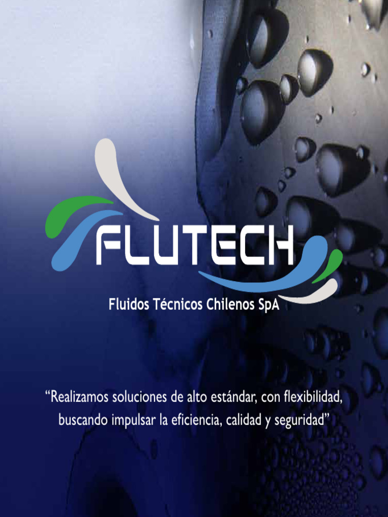 Catalogo Flutech3.0 | PDF | Ingeniería | Bomba