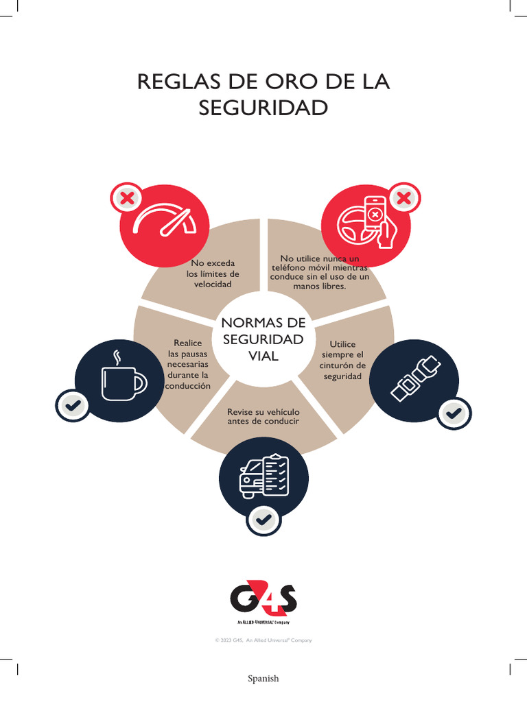 Reglas de Oro de Seguridad Vial | PDF