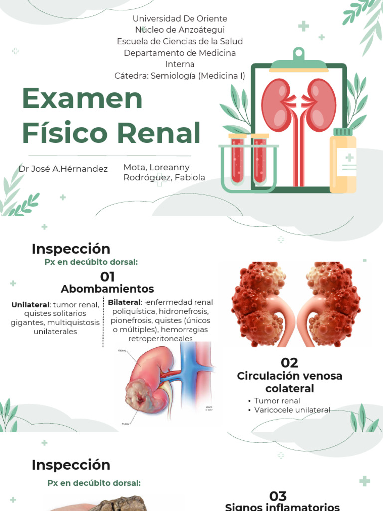 Examen Físico del Riñón: Técnicas y Maniobras | PDF | Mano | Abdomen